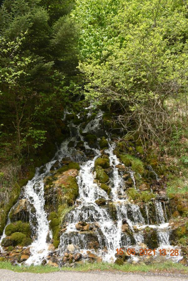 Апартаменты Vista Baqueira Вьелья Экстерьер фото